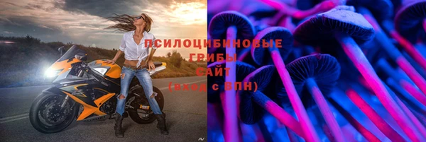 скорость Абаза