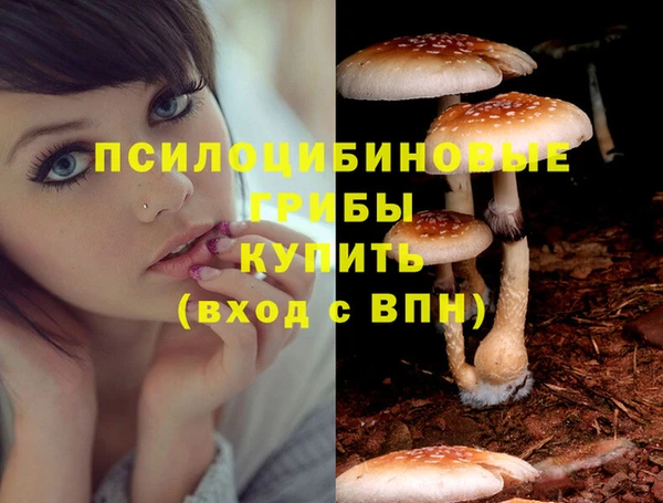скорость Абаза