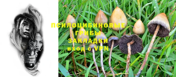 скорость Абаза