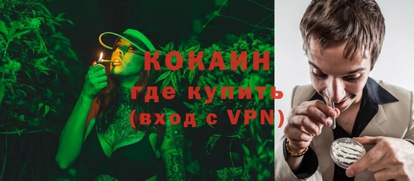 apvp Рославль