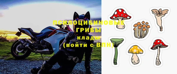 скорость Абаза