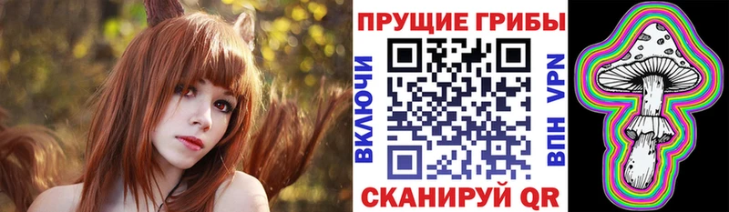 сайты даркнета какой сайт  Вилючинск  Галлюциногенные грибы мицелий 